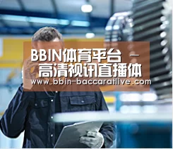 研发能力标题四