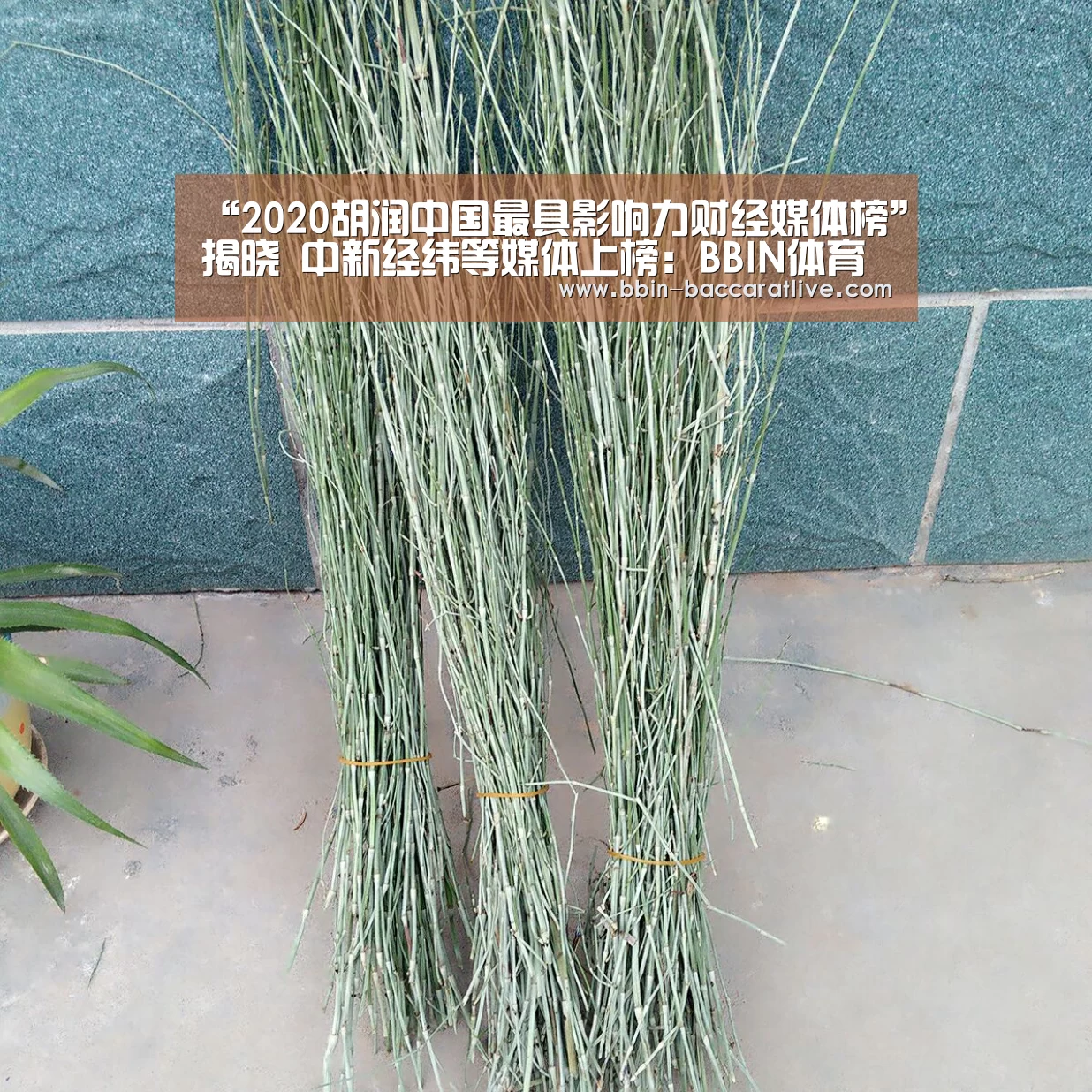 “2020胡润中国最具影响力财经媒体榜”揭晓 中新经纬等媒体上榜:BBIN体育(图1) BBIN篮球