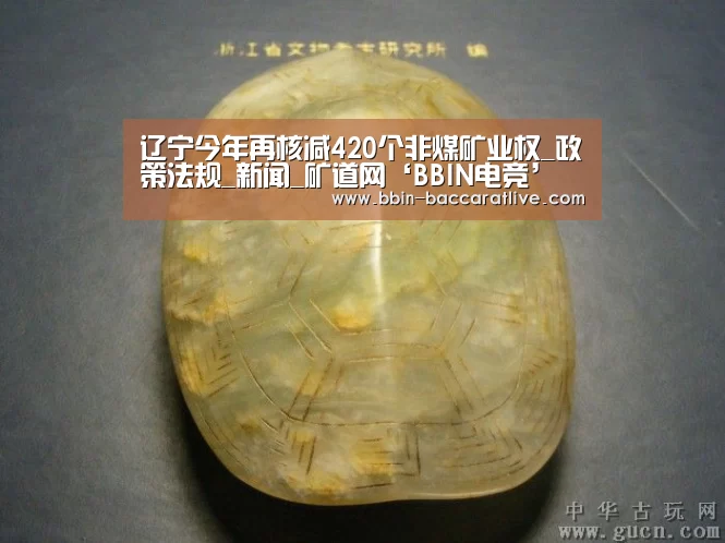 辽宁今年再核减420个非煤矿业权_政策法规_新闻_矿道网‘BBIN电竞’(图4) BBIN电竞