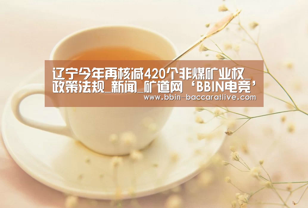 辽宁今年再核减420个非煤矿业权_政策法规_新闻_矿道网‘BBIN电竞’(图3) BBIN电竞
